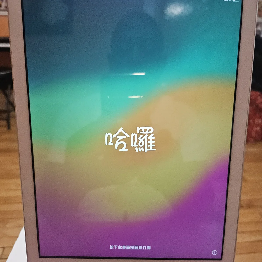 Apple iPad in Sleek Silver